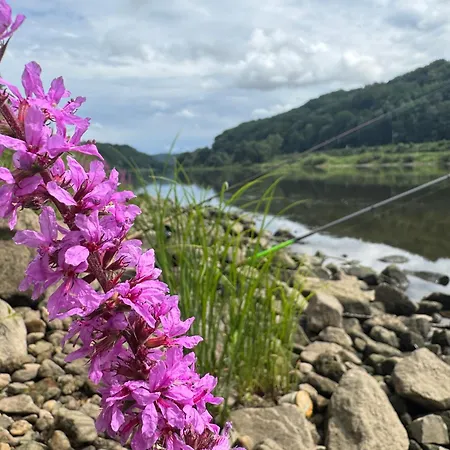 Elbsicht 度假居 皮尔纳