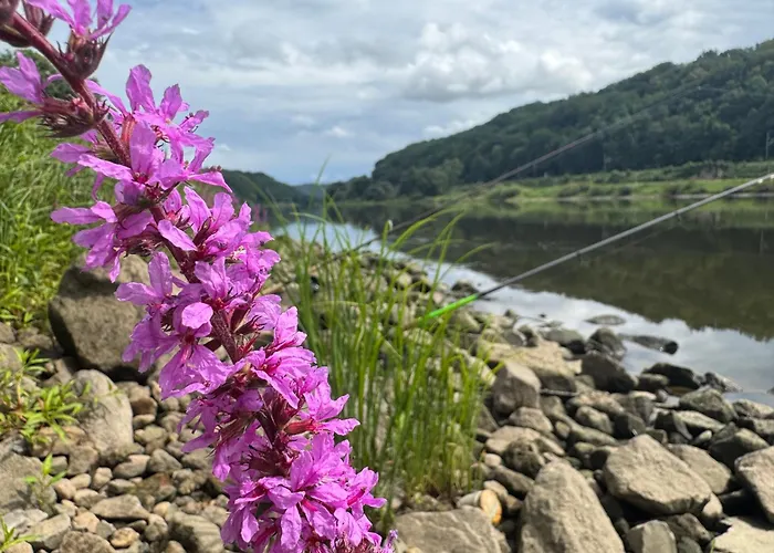 Elbsicht بيت للعطل بيرنا